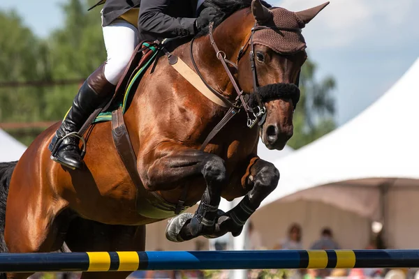 Άλμα Αλόγων Ιππασίας Αθλητισμός Εμφάνιση Jumping Θεματική Φωτογραφία — Φωτογραφία Αρχείου