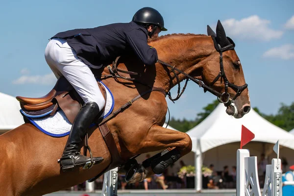 Skoki Konne Sporty Jeździeckie Show Jumping Tematyczne Zdjęcie — Zdjęcie stockowe