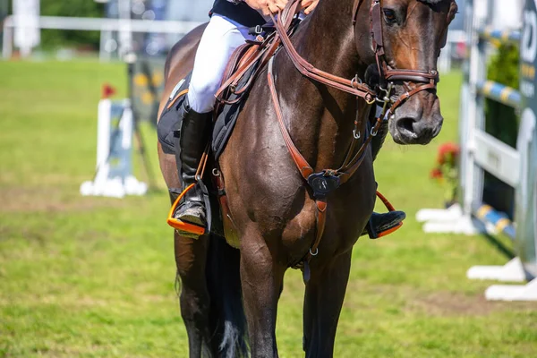 Horse Jumping, Equestrian Sports, Show Jumping themed photo.