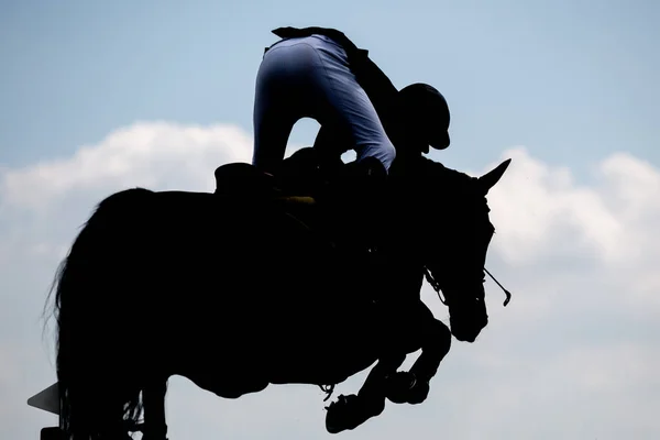 Horse Jumping Equestrian Sports Show Jumping Themed Photo — Stock Photo, Image