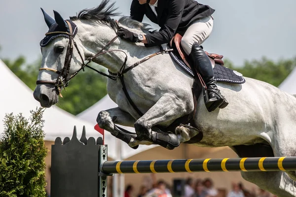 Skoki Konne Sporty Jeździeckie Show Jumping Tematyczne Zdjęcie — Zdjęcie stockowe