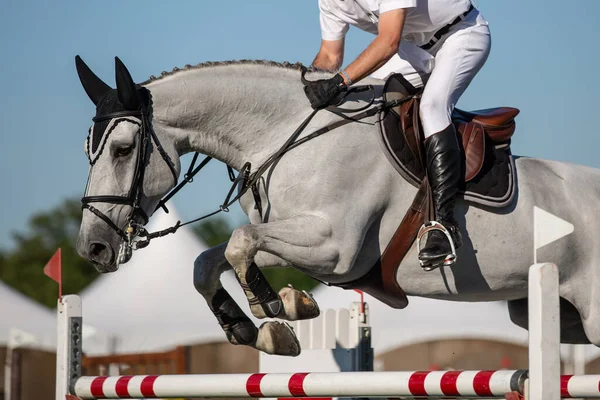 Horse Jumping Equestrian Sports Show Jumping Themed Photo — Stock Photo, Image