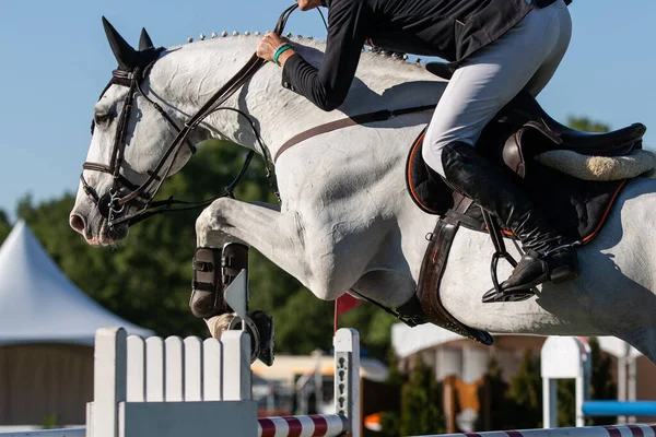 Horse Jumping Equestrian Sports Show Jumping Themed Photo — Stock Photo, Image