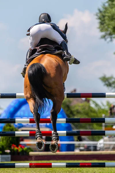 Horse Jumping Equestrian Sports Show Jumping Themed Photo Stock Image