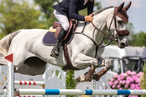 Horse Jumping Equestrian Sports Show Jumping Themed Photo — Stock Photo, Image