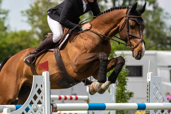 Horse Jumping, Equestrian Sports, Show Jumping themed photo.