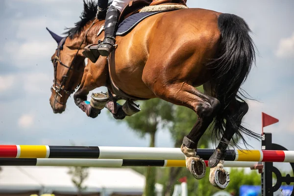 Horse Jumping Equestrian Sports Show Jumping Themed Photo — Stock Photo, Image