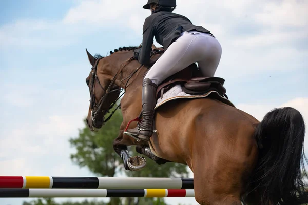 Skoki Konne Sporty Jeździeckie Show Jumping Tematyczne Zdjęcie — Zdjęcie stockowe