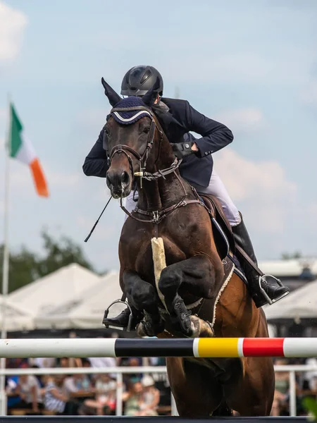 Horse Jumping, Equestrian Sports, Show Jumping themed photo.