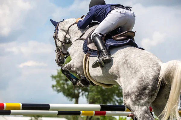 Skoki Konne Sporty Jeździeckie Show Jumping Tematyczne Zdjęcie — Zdjęcie stockowe