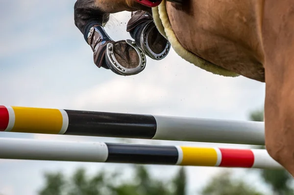 Salto Caballo Deportes Ecuestres Show Jumping Foto Temática —  Fotos de Stock