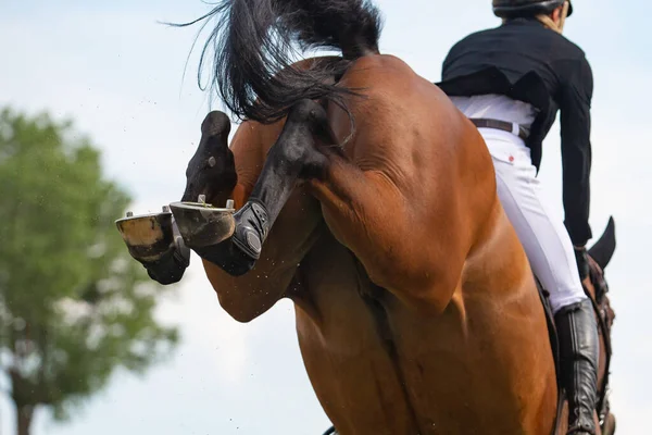 Pferdespringen Pferdesport Themenfoto Springreiten — Stockfoto