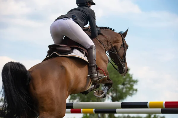 Άλμα Αλόγων Ιππασίας Αθλητισμός Εμφάνιση Jumping Θεματική Φωτογραφία — Φωτογραφία Αρχείου