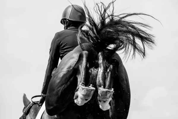 Paardrijden Paardensport Show Jumping Themafoto — Stockfoto