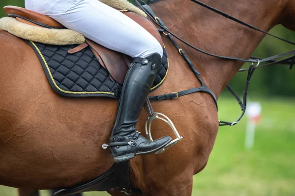 Paardrijden Paardensport Show Jumping Themafoto Stockafbeelding