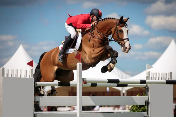 Equestrian — Stock Photo, Image