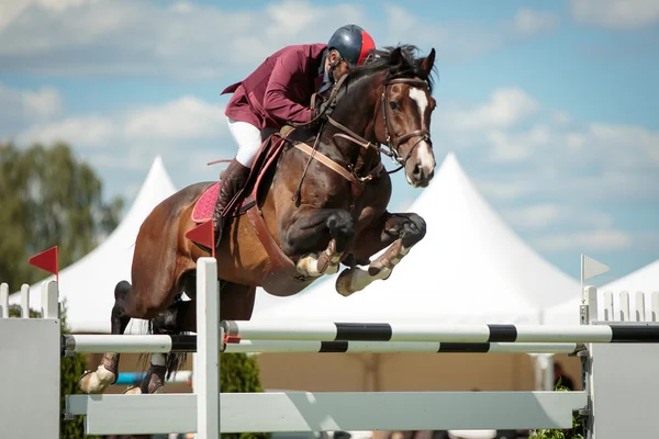 esportes equestres, hipismo, hipismo, cavalo com jóquei saltando