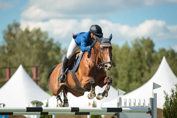 Esportes equestres — Fotografia de Stock