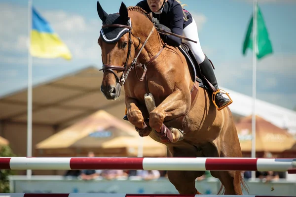 Esportes equestres — Fotografia de Stock