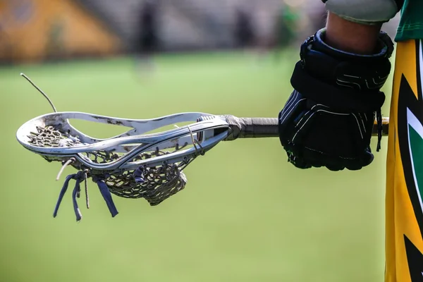 Lacrosse Imágenes de stock libres de derechos