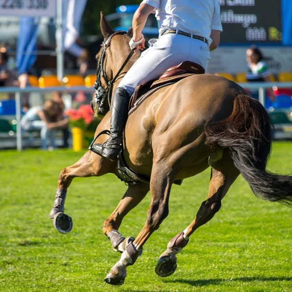 Equestrian sports — Stock Photo, Image