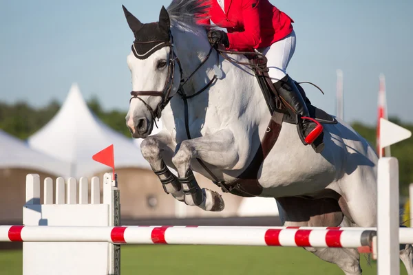 Hästsport — Stockfoto