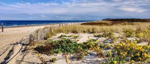 Duxbury Strand Mentén Strop Fehér Homokos Strand Található Város Duxbury — Stock Fotó