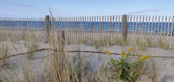 Duxbury Spiaggia Lungo Strop Spiaggia Sabbia Bianca Trovato Nella Città — Foto Stock