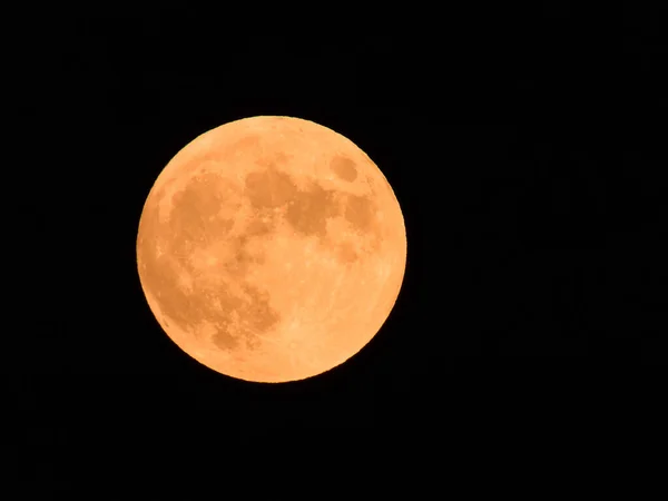 2020 July\'s Hunter moon in the dark night sky over Lakeville, Massachusetts, USA.