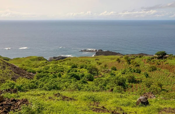 Grass Field Bay Salinas Island Fogo Cabo Verde — Stock Photo, Image