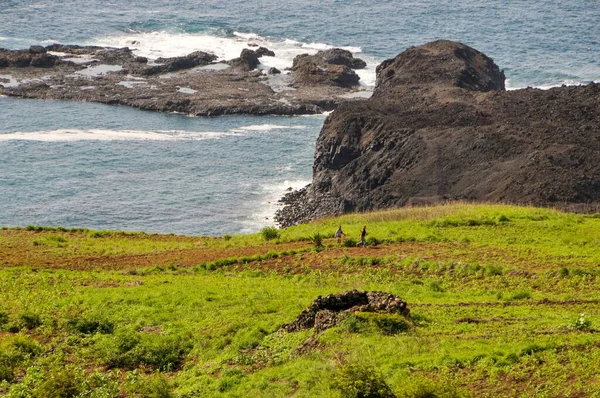 Farm Filed Bay Salinas Sao Jorge Fogo Cabo Verde Agriculture — Stock Photo, Image