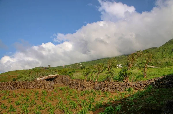 Castello Pietra Divide Terreni Agricoli Fogo Cabo Verde — Foto Stock