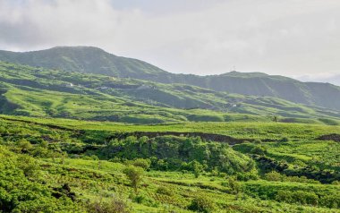 Ana yol Travers yeşil engebeli dağ manzarası Fogo, Cabo Verde adasındaki Sao Jorge kasabasını terk ediyor.