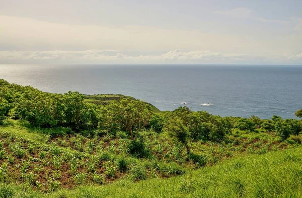 Corfield Agriculture Season Landscape Sao Jorge Part Island Fogo Archipelago — Stock Photo, Image