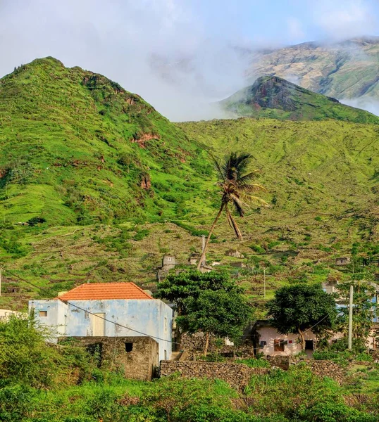 Coconut Tree Rises Village Sao Jorge Its Green Mountainous Landscape — Stock Photo, Image