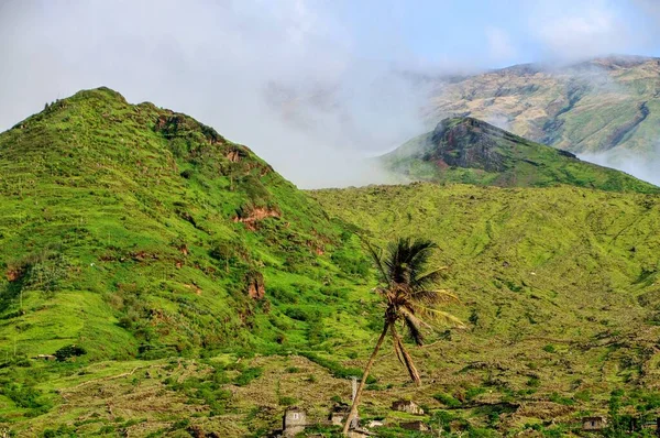 Coconut Tree Rises Village Sao Jorge Its Green Mountainous Landscape — Stock Photo, Image