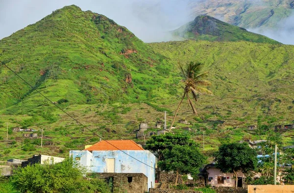 Coqueiro Ergue Acima Aldeia São Jorge Com Sua Paisagem Montanhosa — Fotografia de Stock