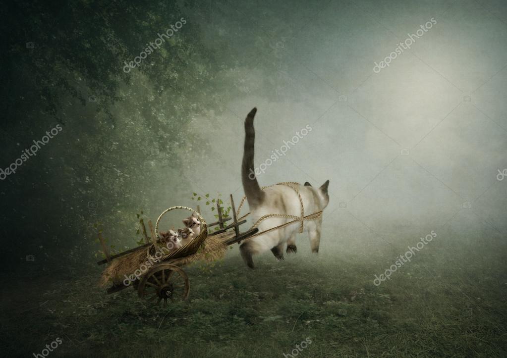 Mama cat pulls old cart with kittens — Stock Photo © Margo1956