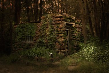 terk edilmiş evde ve Kuzgunlar