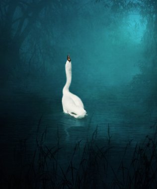 White lonely swan on proud clipart