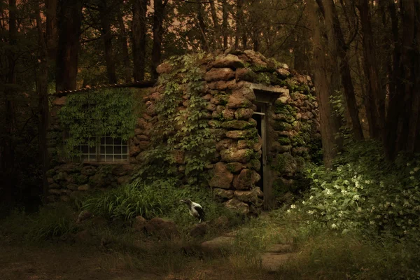 Casa abandonada e corvos — Fotografia de Stock