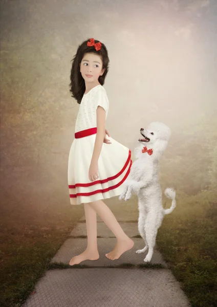 Little girl  and white poodle — Stock Photo, Image