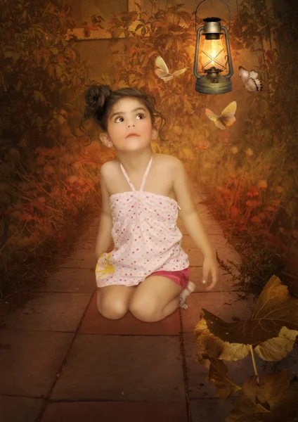 Little girl looking on butterflies — Stock Photo, Image