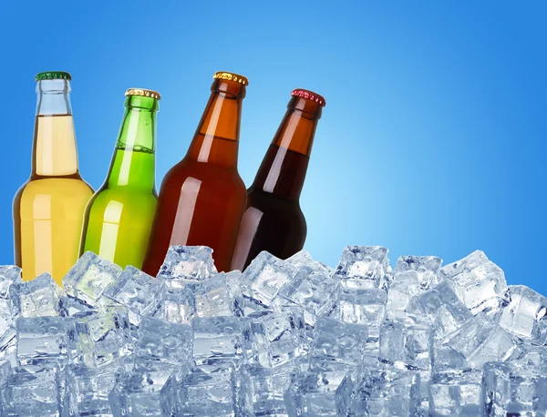 Beer   in   ice — Stock Photo, Image