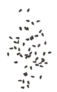 Beyaz arkaplanda izole edilmiş ayçiçeği tohumları