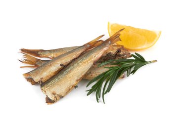 Kafaları olmadan beyaz bir arka planda ayrılır.