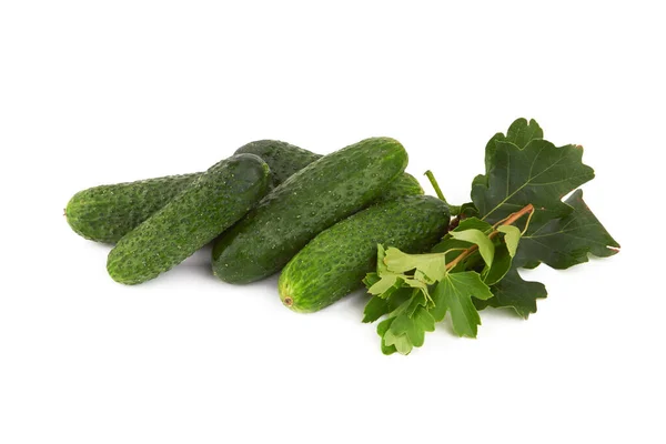 Komkommerbereiding Voor Inblikken Een Witte Achtergrond — Stockfoto