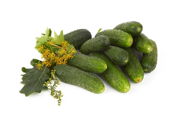 Komkommers Een Kruik Voorbereiding Voor Inblikken Een Witte Achtergrond — Stockfoto