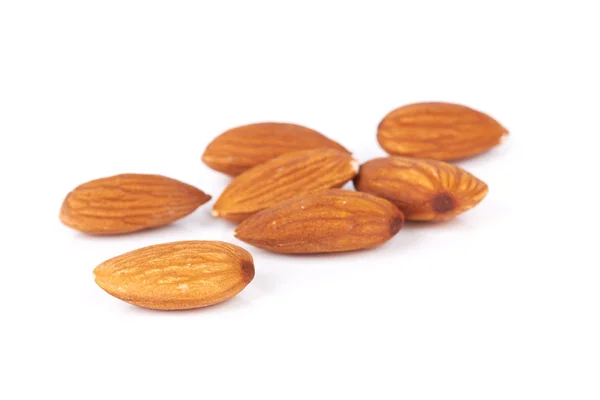 Almond nut — Stock Photo, Image