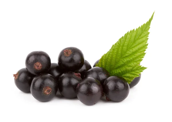 Black currants — Stock Photo, Image